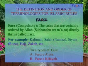 DEFINITION OF FARZ