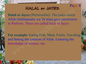 DEFINITION OF HALAL & JAYEZ