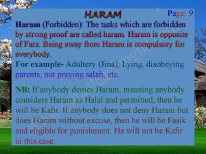 DEFINITION OF HARAM